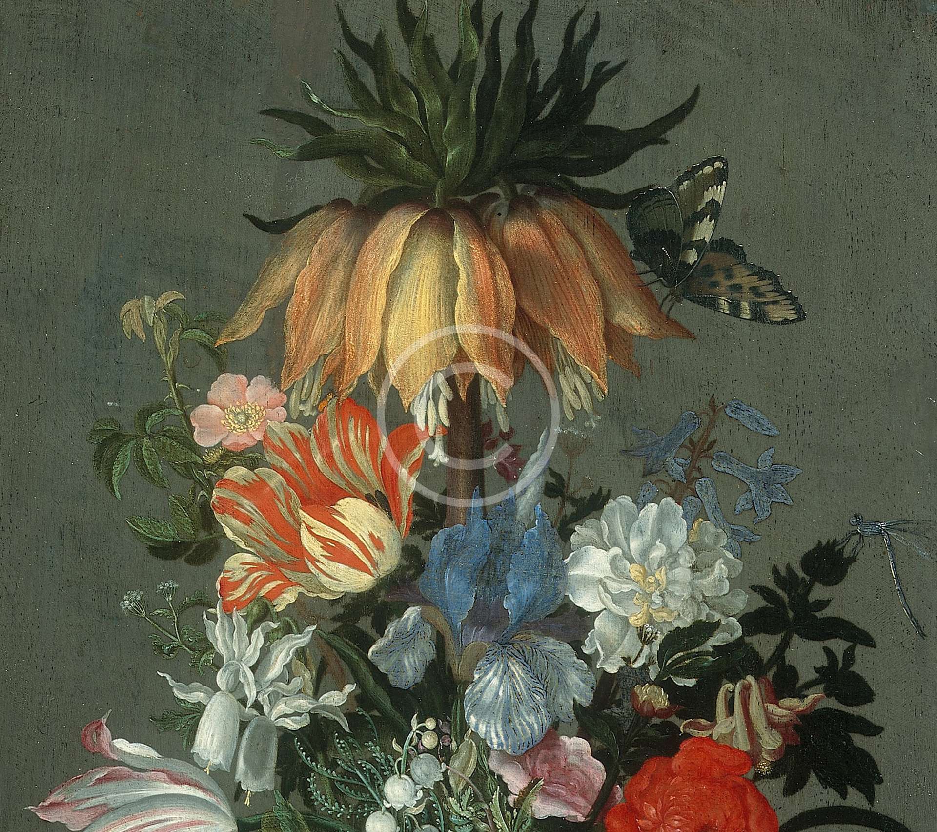 Flower Still Life with Crown Imperial